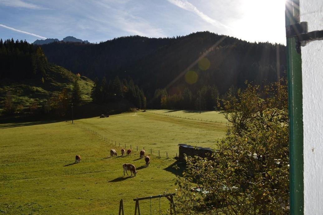 Ferienwohnungen Foidlhof Hochfilzen Εξωτερικό φωτογραφία