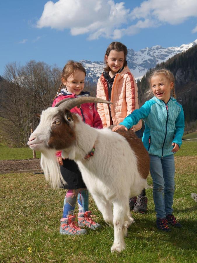 Ferienwohnungen Foidlhof Hochfilzen Εξωτερικό φωτογραφία