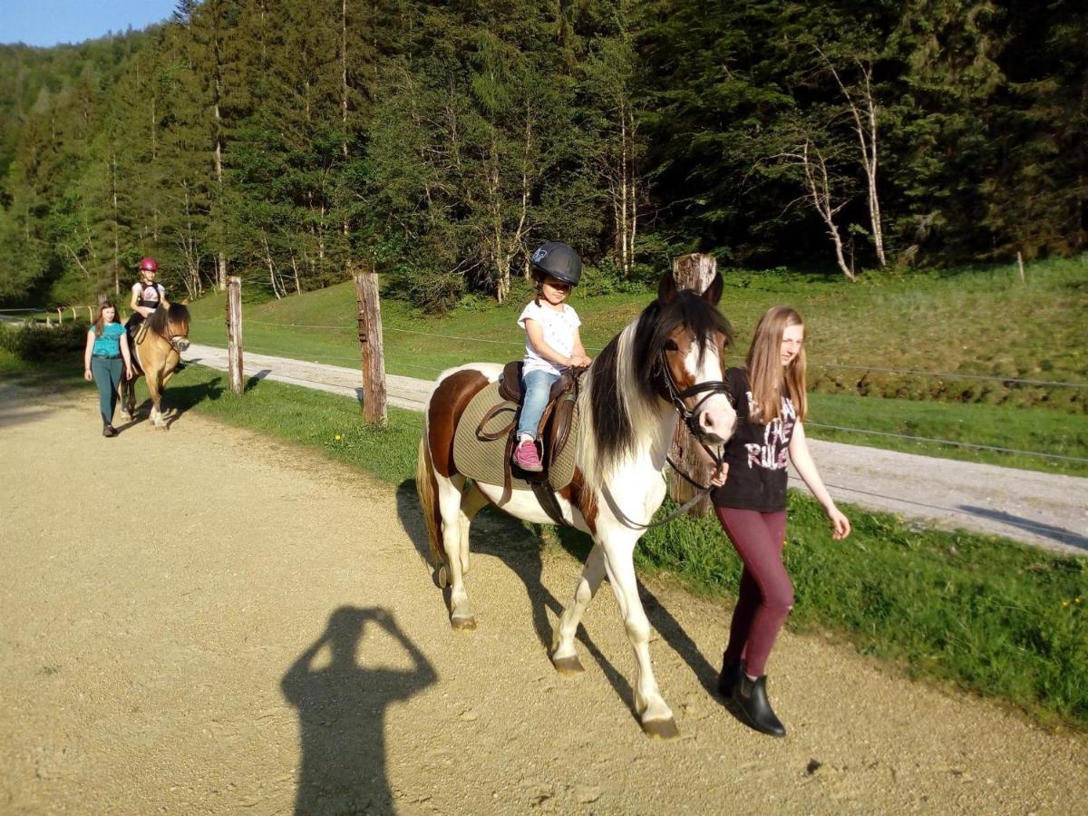 Ferienwohnungen Foidlhof Hochfilzen Εξωτερικό φωτογραφία